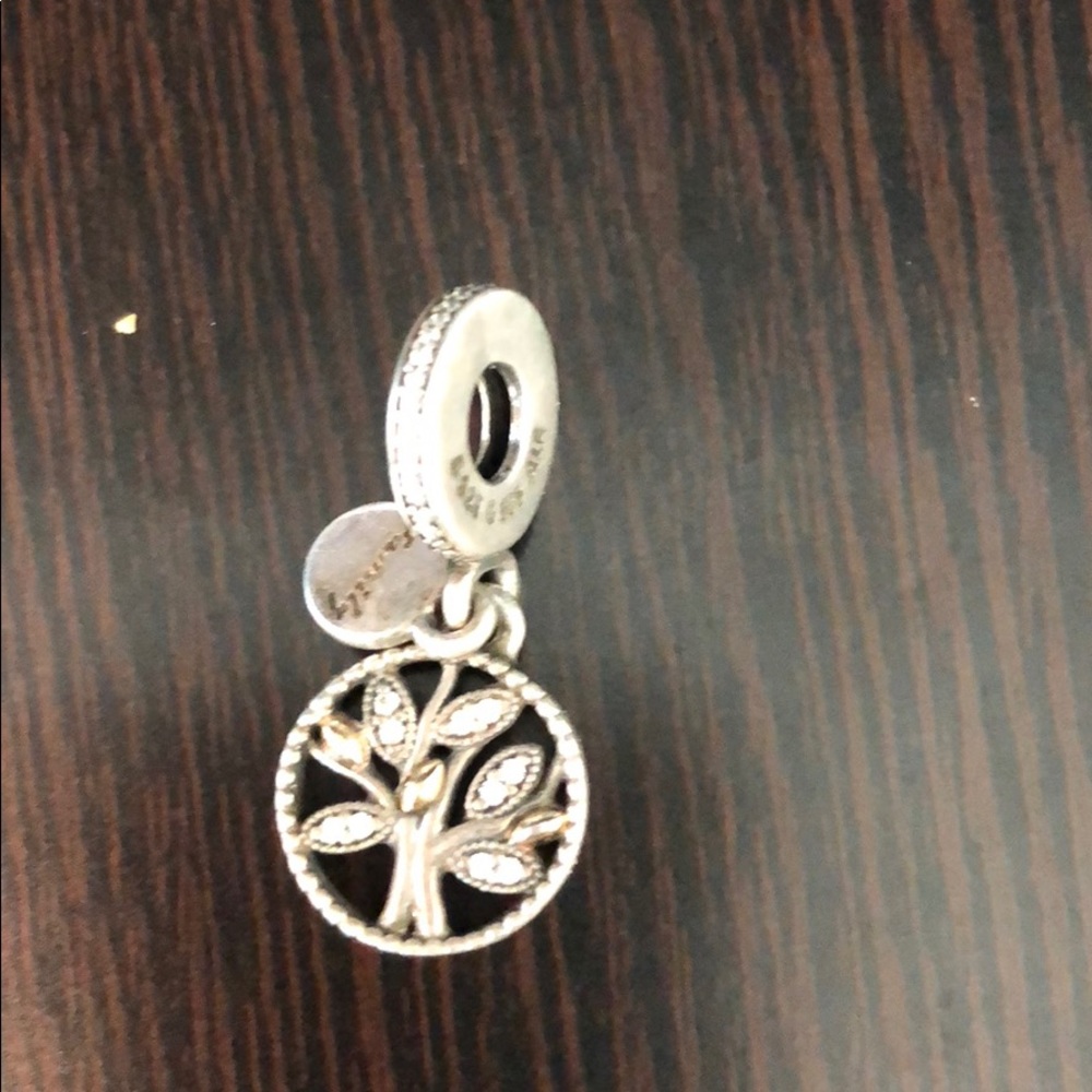 Pandora family three charm